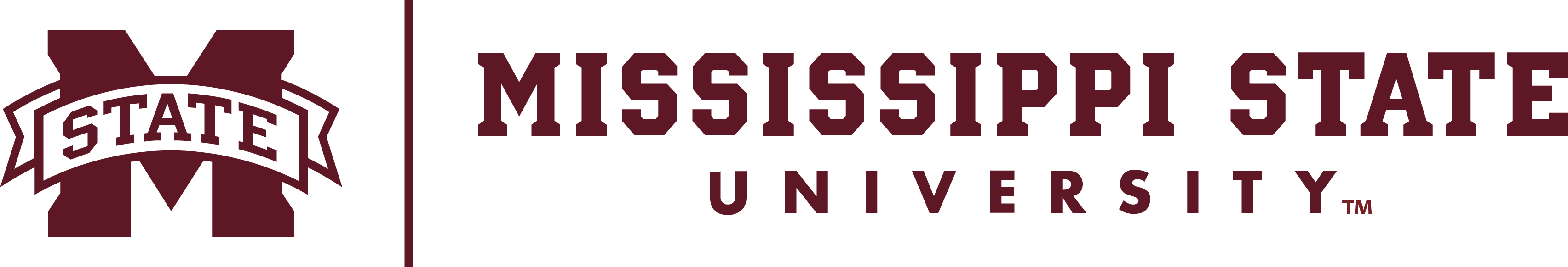 2016: Mississippi State's Stennis Institute Adopted Strategic Doing 